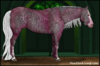 Horse Color:Silver Black Chinchilla Ice Splash 