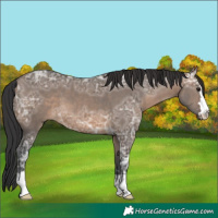 Horse Color:Brown Ice Dun