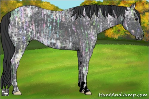 Horse Color:Black Ice  and Black Ice 