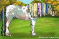 Horse Color:Painted Amber Champagne Tobiano 