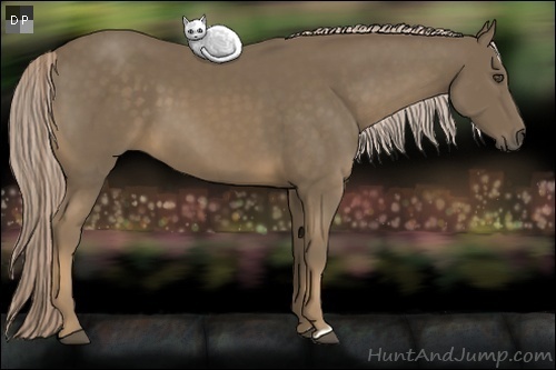 Horse Color:Chocolate Palomino 
