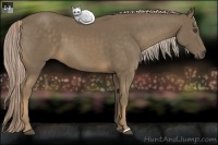 Horse Color:Chocolate Palomino 