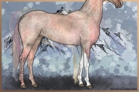 Horse Color:Silver Brown Ice Dun Rabicano 