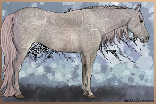 Horse Color:Silver Grullo Ice Sabino