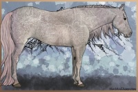 Horse Color:Silver Grullo Ice Sabino 