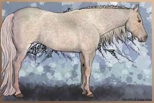 Horse Color:Silver Smoky Grullo Ice Roan 