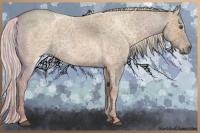 Horse Color:Silver Smoky Grullo Ice Roan 