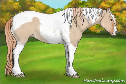 Horse Color:Red Dun Tobiano 