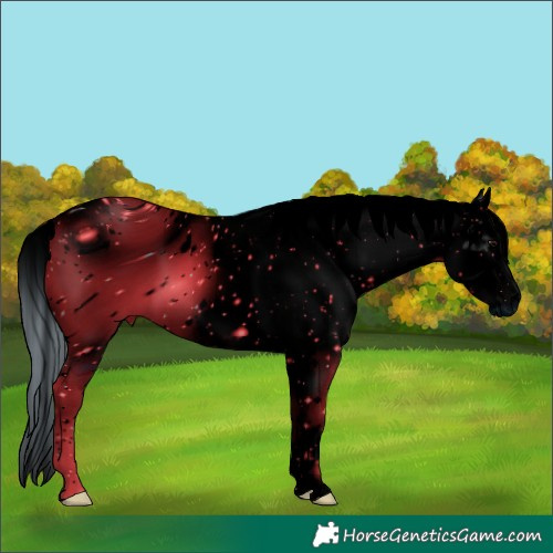 Horse Color:ERROR: UNKNOWN ANOMALY