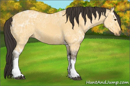 Horse Color:Buckskin Ice Dun 