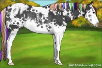 Horse Color:Painted White Spotted Black Splash Varnish Rabicano 