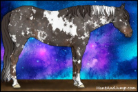Horse Color:White Spotted Liver Chestnut 