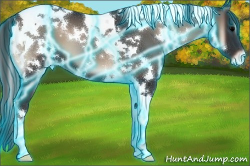 Horse Color:Thunderstruck White Spotted Blue Onyx Tobiano Appaloosa 