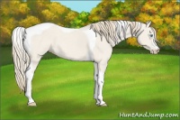 Horse Color:Smoky Creme Dun Tobiano 