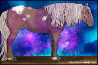 Horse Color:Silver Grullo Appaloosa 