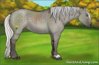 Horse Color:Silver Smoky Grullo Chinchilla Roan Brindle 
