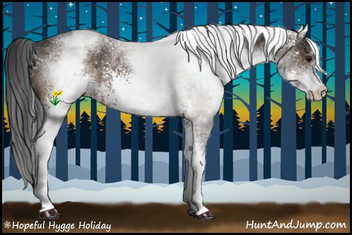 Horse Color:White Spotted Brown 