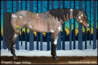 Horse Color:White Spotted Bay Roan 