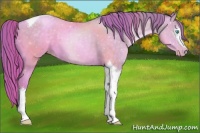 Horse Color:Watercolor White Spotted Buckskin Pearl Tobiano