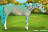 Horse Color:Watercolor White Spotted Buckskin 