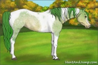 Horse Color:Watercolor Buckskin Tobiano 
