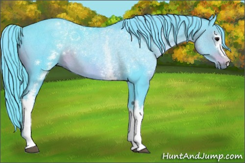 Horse Color:Watercolor White Spotted Smoky Black