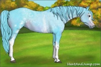Horse Color:Watercolor White Spotted Smoky Black 