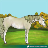 Horse Color:Watercolor White Spotted Smoky Black Pearl