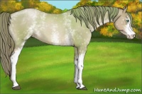 Horse Color:Watercolor White Spotted Smoky Black Pearl 