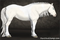 Horse Color:Cremello Dun Tobiano 