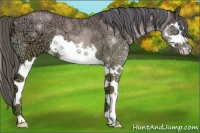 Horse Color:Brown Ice Pearl Splash