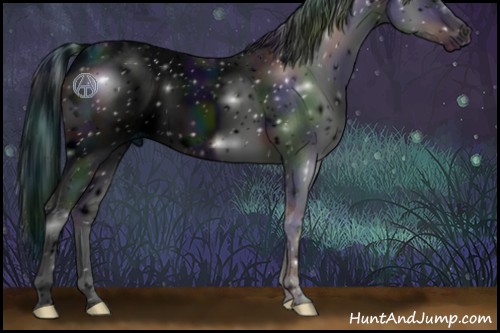 Horse Color:ERROR: UNKNOWN ANOMALY and ERROR: UNKNOWN ANOMALY