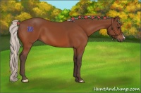 Horse Color:Silver Bay 