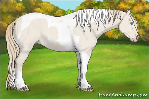 Horse Color:Smoky Creme Dun Tobiano 