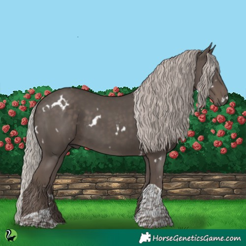 Horse Color:White Spotted Silver Black Tobiano 
