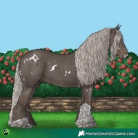 Horse Color:White Spotted Silver Black Tobiano