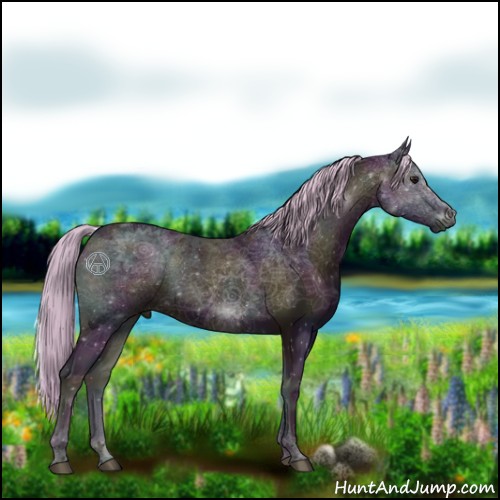 Horse Color:Watercolor Midnight Silver Brown Ice Onyx 
