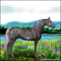 Horse Color:Watercolor Midnight Silver Brown Ice Onyx 