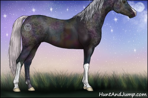 Horse Color:Watercolor Midnight Silver Brown Ice 