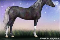 Horse Color:Watercolor Midnight Silver Brown Ice 