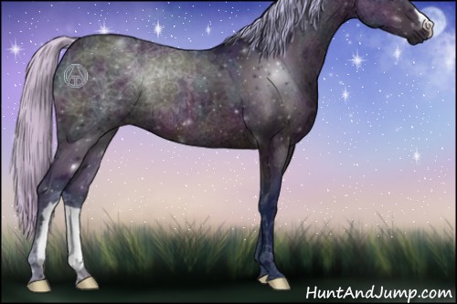 Horse Color:Watercolor Midnight Silver Brown Ice 