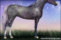 Horse Color:Watercolor Midnight Silver Brown Ice 