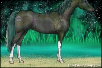 Horse Color:Watercolor Midnight Buckskin Ice Onyx 