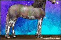 Horse Color:Nacre Liver Chestnut Sabino Splash Rabicano 