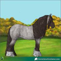 Horse Color:Liver Red Roan Tobiano