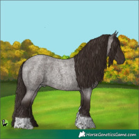 Horse Color:Liver Red Roan Tobiano 