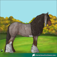 Horse Color:Liver Red Roan Tobiano