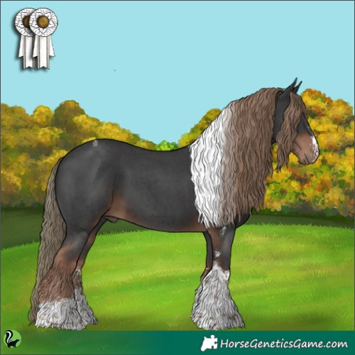 Horse Color:Liver Chestnut Sabino Tobiano 