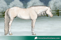 Horse Color:White Spotted Chocolate Palomino Ice Pearl Dun Tobiano