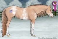 Horse Color:White Spotted Gold Champagne Tobiano 